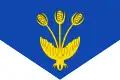 Flag of Vall de Cardós