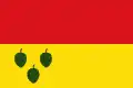 Flag of La Quar