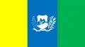 Flag of Quixadá