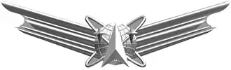 Space Badge**