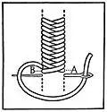Basket stitch