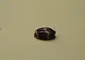 Bead (agate). Cuneiform inscription of the Assyrian King Adad-nirari II (911-891 BC): "Palace of Adadnirari, king of the world".