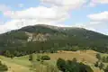 Black Forest Belchen