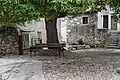 Linden tree