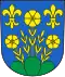 Berg