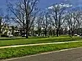 'Christine Buisman', Bidwell Parkway, Buffalo, New York (May, 2020)