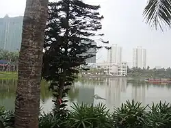 The lake