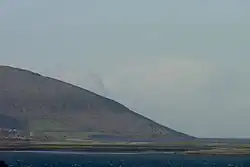 Black Head