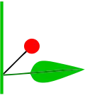 Flower and subtending bract