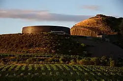Viña Real