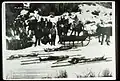 Bodies of the four stockmen out of the Back Country Background:Harry Cambron. Foreground left to right:Bert Indiano, Peter Erramouspe, John Laxague,