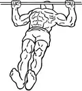 Supine rear delt row end