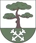 Coat of arms of Borovnička
