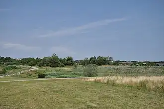 Landscape