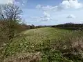 Bosworth Mill Meadow