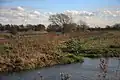 Stallode Wash, Lakenheath