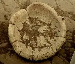 A bowl in the Central Structure at Tarxien