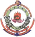Official seal of Novo Itacolomi