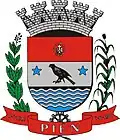 Official seal of Piên