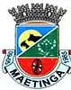 Official seal of Maetinga