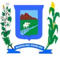 Official seal of Marcelino Vieira