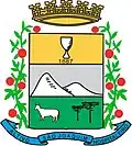 Official seal of São Joaquim