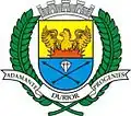 Coat of arms of Diamantino
