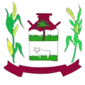 Coat of arms of Palminópolis