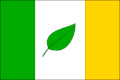 Flag of Březová