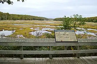 Marsh