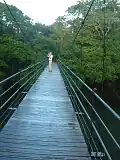 The bridge over the Puerto Viejo River in La Selva