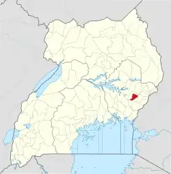 Budaka