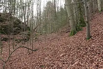 Image 6: Profile of the ditch. L: the castle site (Dec&nbsp;2014)