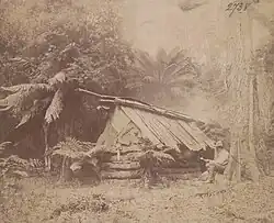 Bush Hut