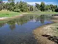 Butte College Wildlife Refuge