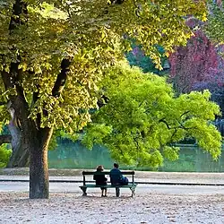 Park scene