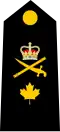 Dress uniform tunic - pre-2010
