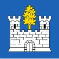Flag of Bovernier