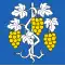 Flag of Lavigny