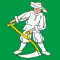 Flag of Madiswil
