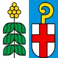 Flag of Mezzovico-Vira
