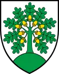 Montanaire