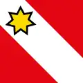 The coat of arms and flag of Thun Switzerland