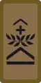 OR-5b - Sergeant first class
