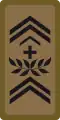 WO-2 - Staff warrant officer
