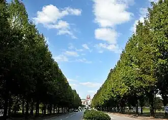 Main Gate