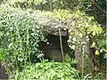 Cae-yr-Arfau burial chamber