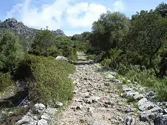 Roman road