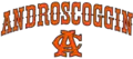 Official seal of Camp Androscoggin