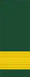 Dress uniform tunic - sleeve